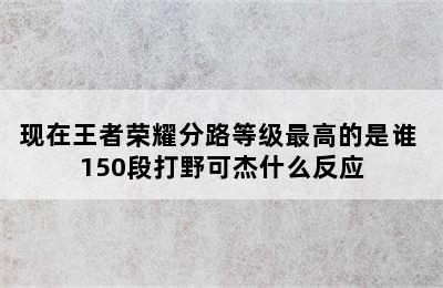 现在王者荣耀分路等级最高的是谁 150段打野可杰什么反应